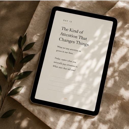 The quiet things collection